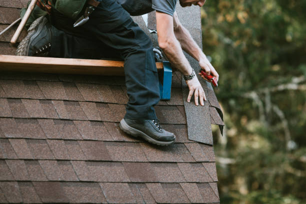 Best Roof Maintenance Services  in Sheboygan Falls, WI