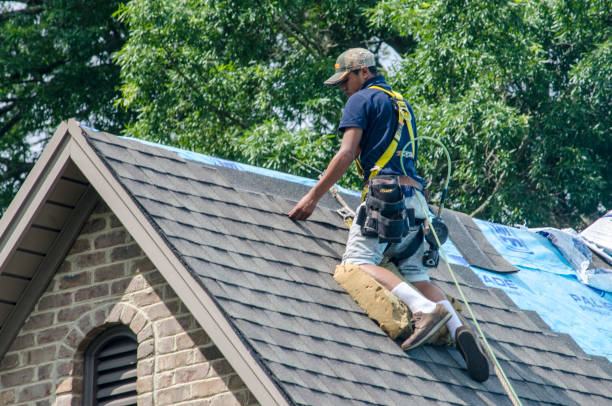 Best Metal Roofing Contractor  in Sheboygan Falls, WI
